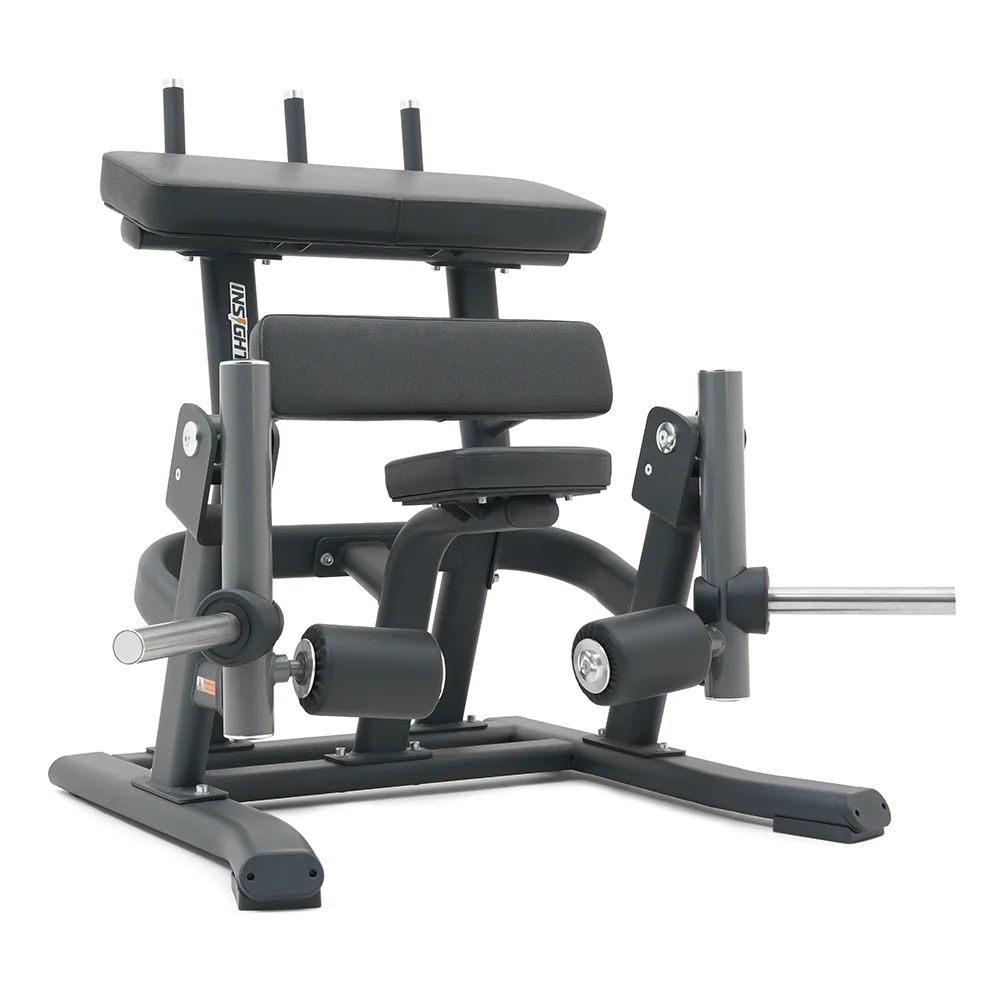 Insight Alternative Leg Curl Machine
