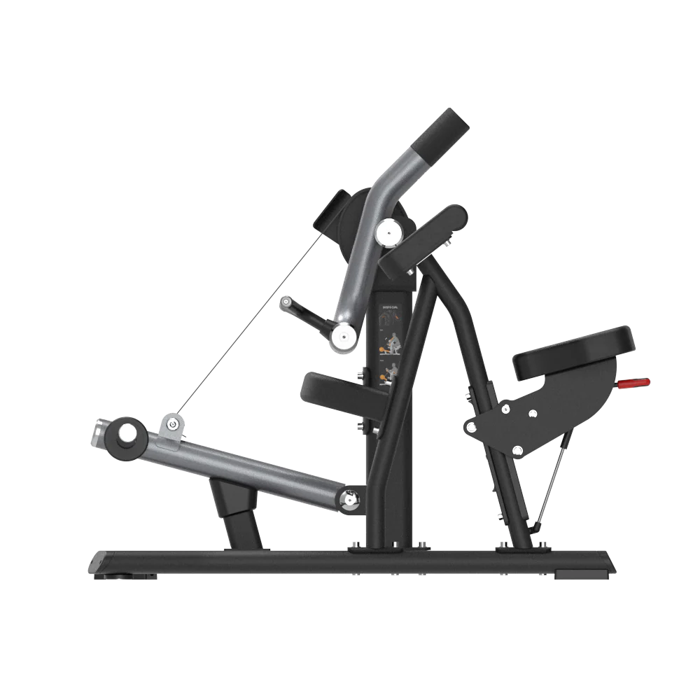 Insight Biceps Curl Machine - Image 3