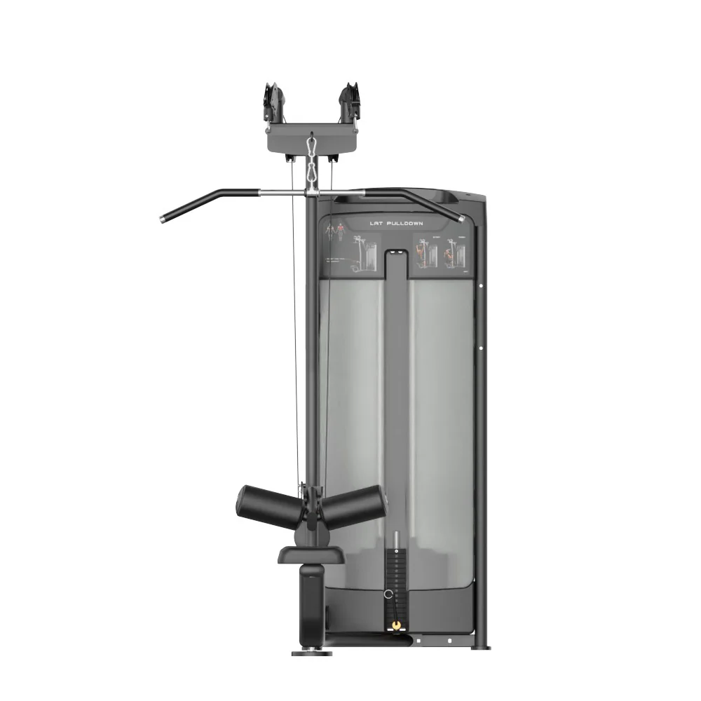 Insight Selectorized Dual Pulley Lat Pulldown Machine - Image 2
