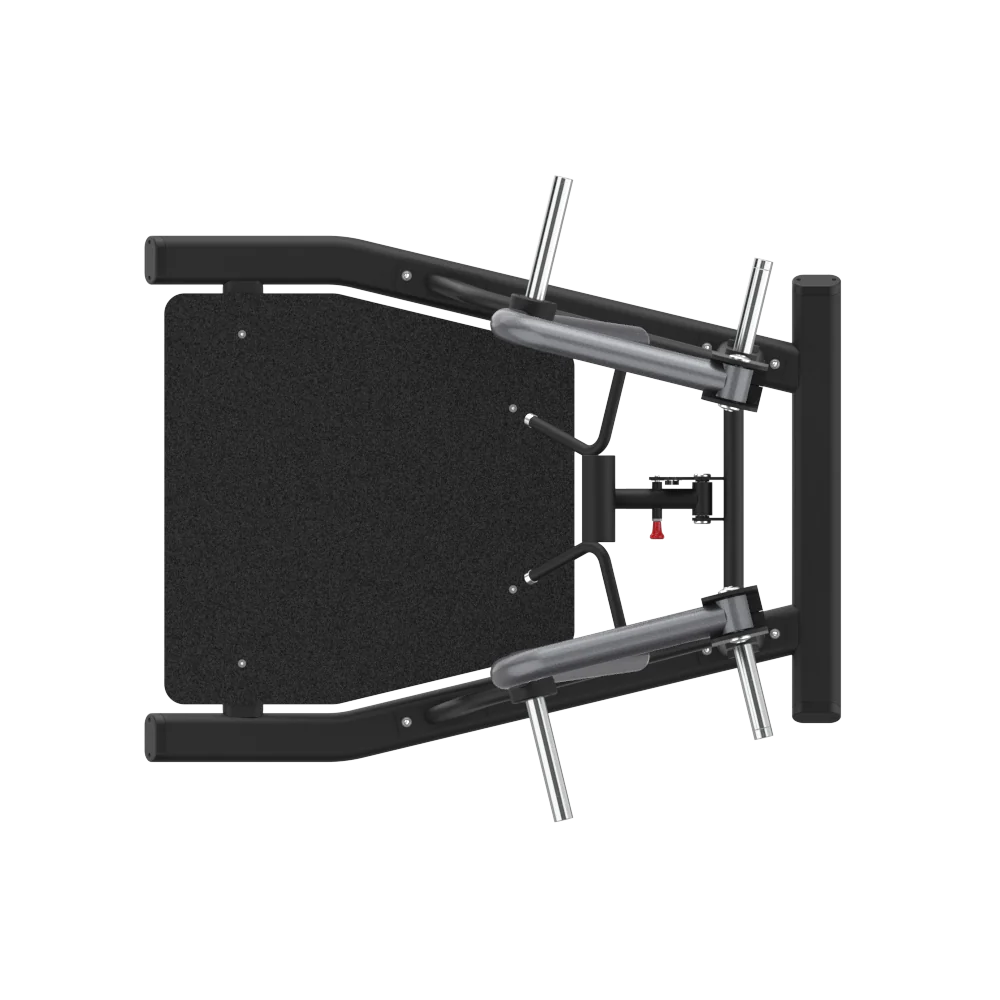 Insight ISO Bent-Over row - Image 5