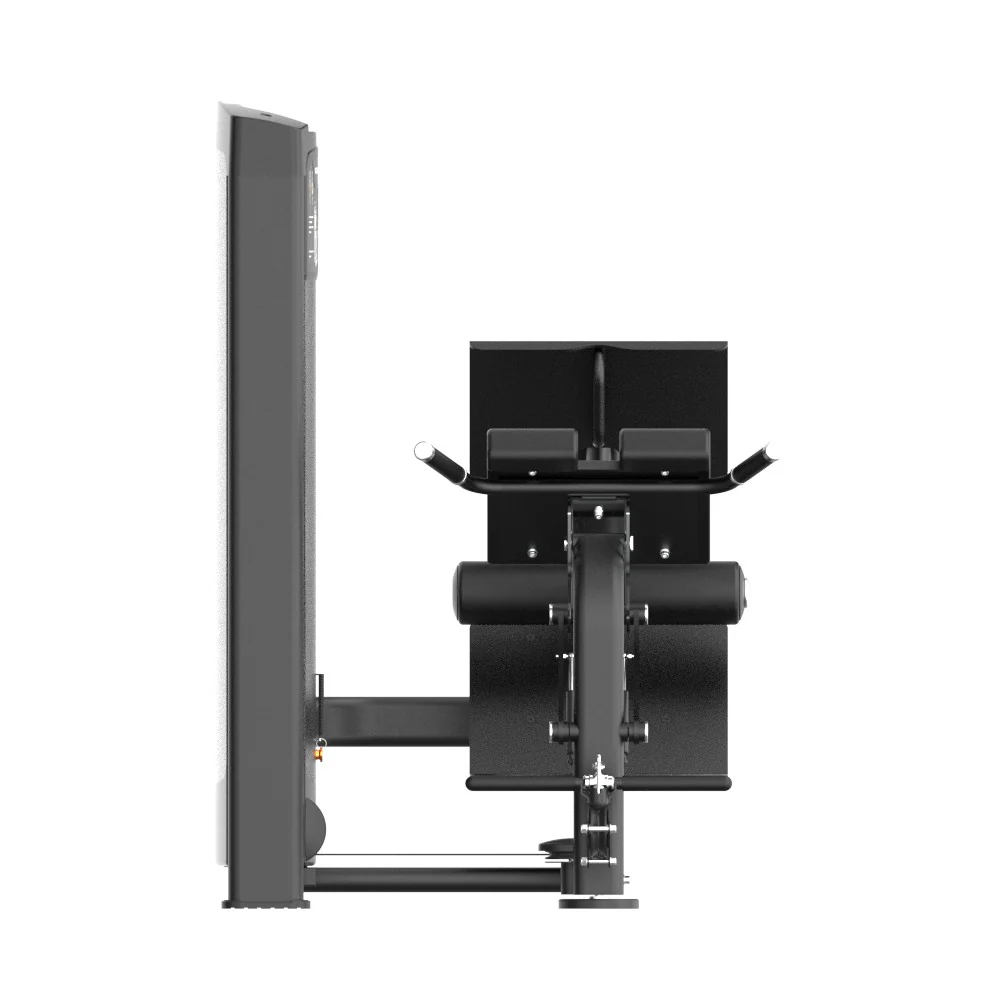 Insight Selectorized Mult- Back Extension Machine - Image 4