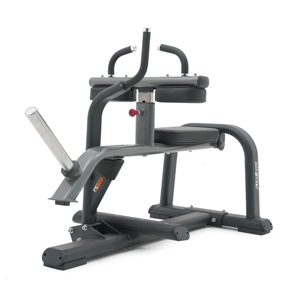 Insight Seated Calf Raise Machine